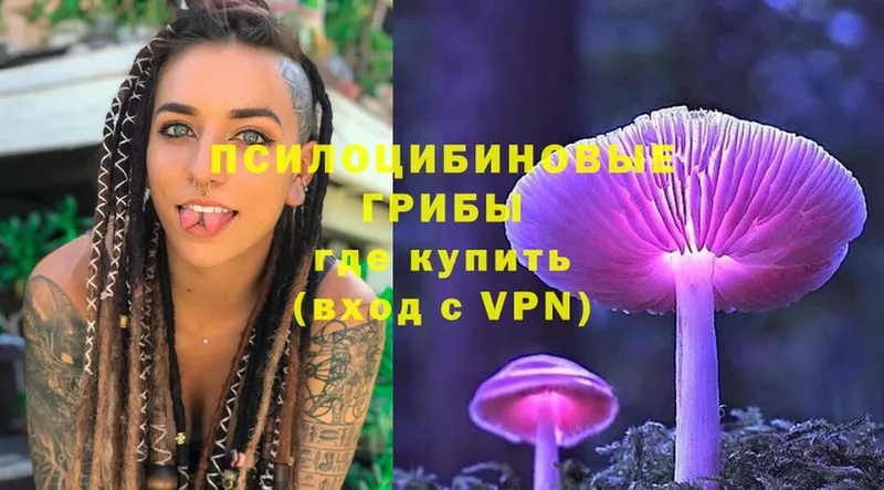 где купить наркоту  кракен как зайти  Псилоцибиновые грибы MAGIC MUSHROOMS  Алушта 